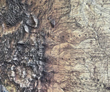 3D USA Map | A True Raised Relief Map